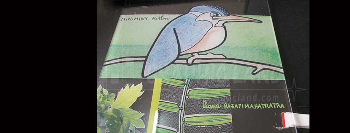 impression sur acrylique Tananarive