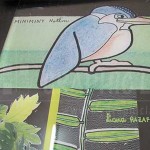 impression sur acrylique Tananarive