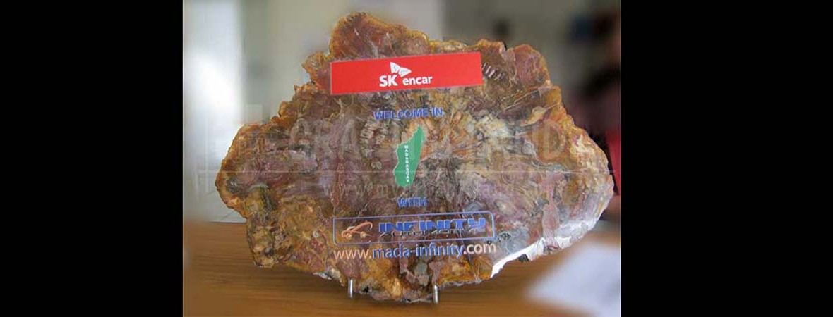 impression sur pierre (bois silicifié)