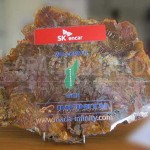 impression sur pierre (bois silicifié)